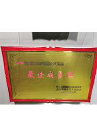 寶山區(qū)2019年度經濟發(fā)展最佳成長獎